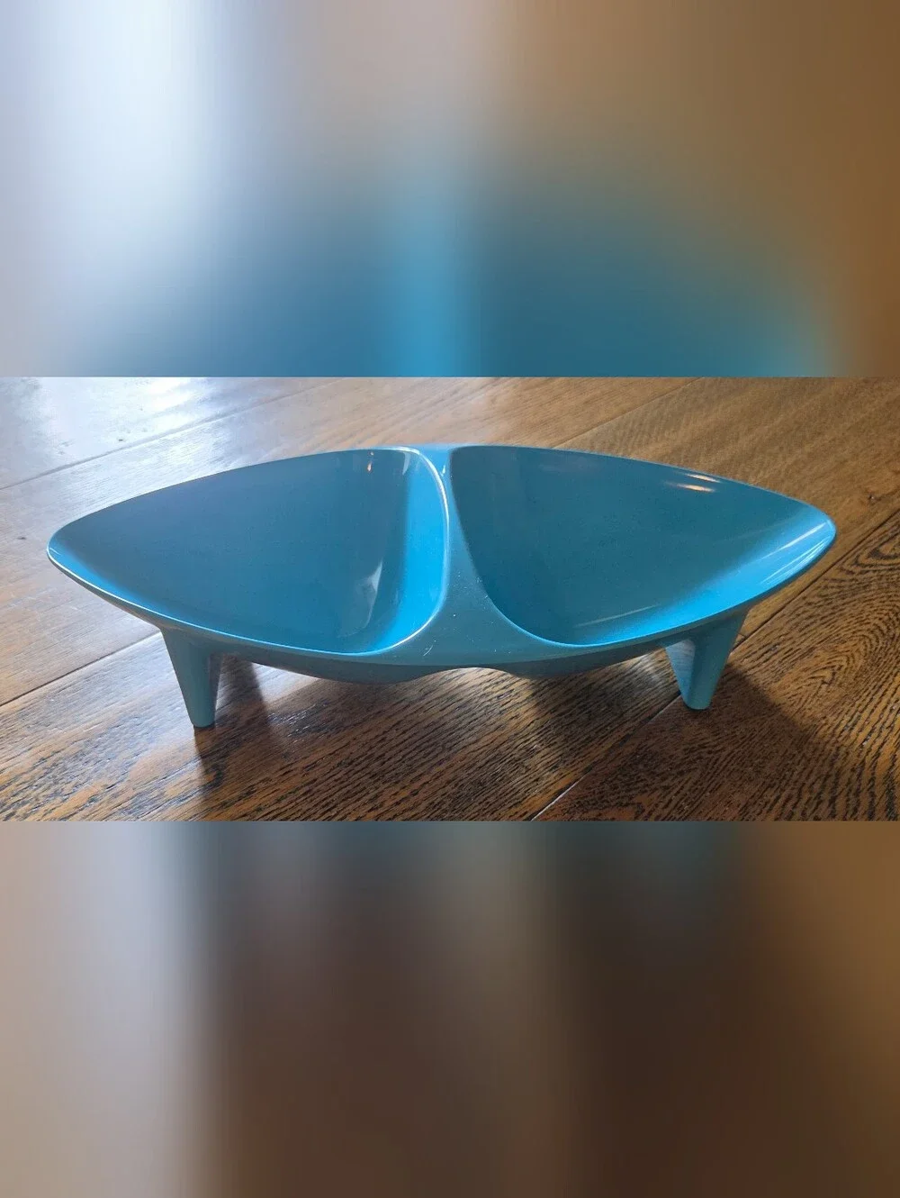 Pets - Divided Feeding Bowl (12
